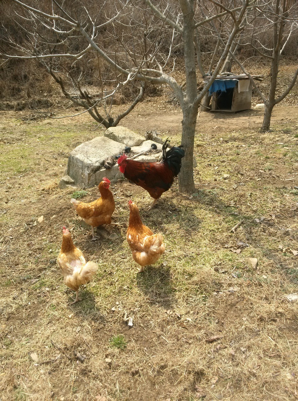 평화주택 이미지